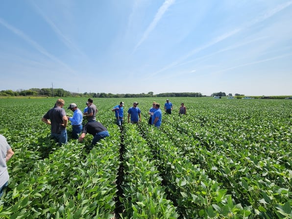 Farmers in the field