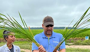Farmer in the field