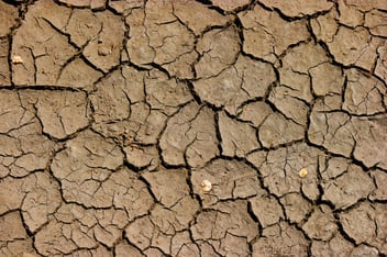 cracked soil