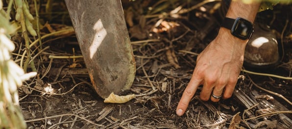 soil with finger pointing