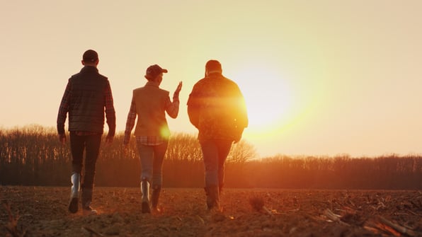 Farmers walking in the field