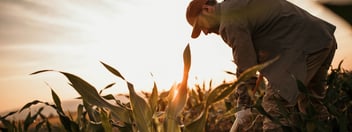 farmer in field