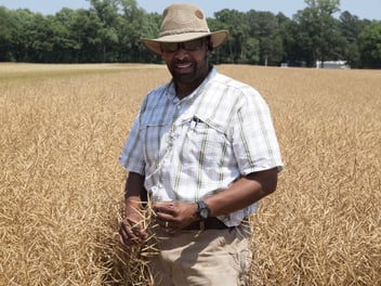 P.J. Haynie stands in a field of wheat