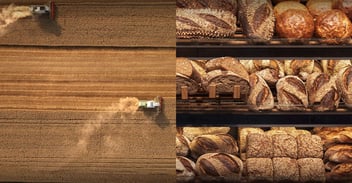 Combine in the field