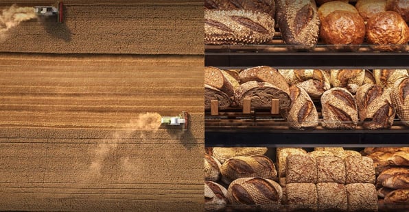 Combine in the field