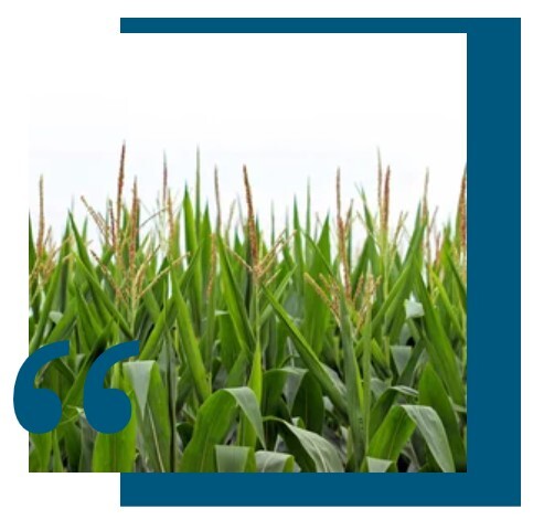 Screenshot 2025-06-19 152305