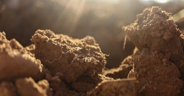 close up of soil