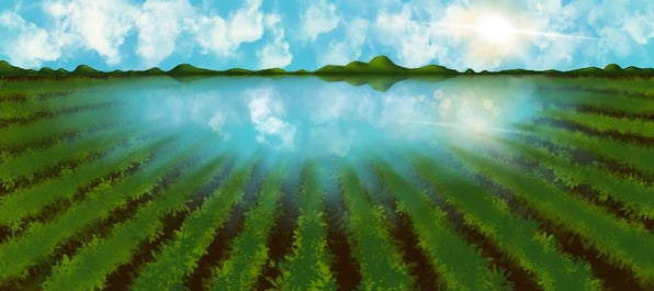 tillage and soil moisture