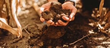 two hands holding soil