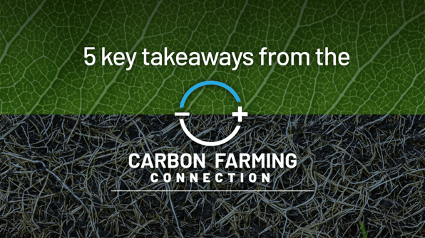 carbon connection photo